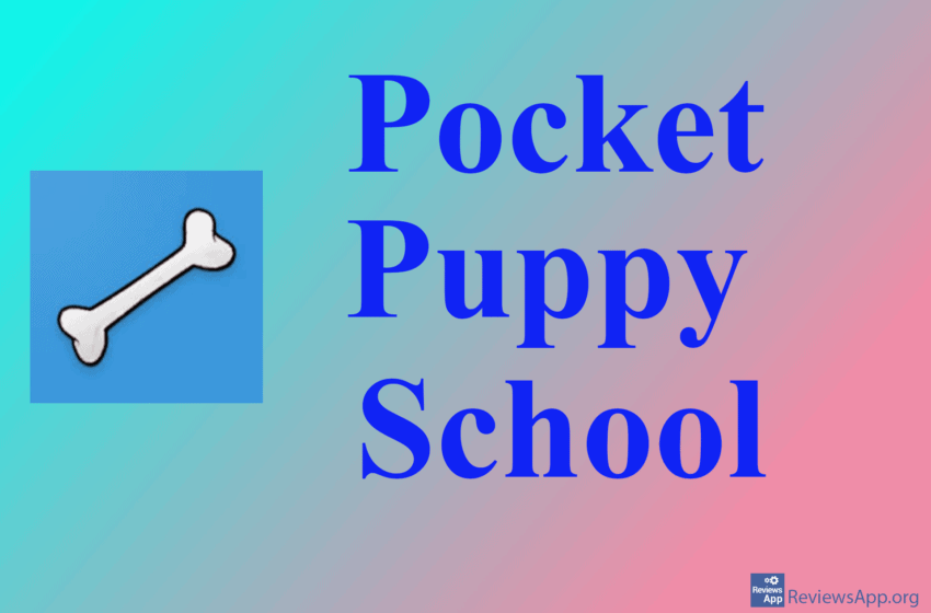  Pocket Puppy School